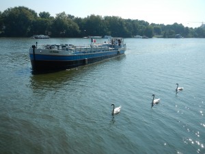 2014_septembre_Cap_sur_Erdre_EDENN (83)