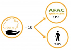 EA_AG_schema-financement-PlantationAFAC