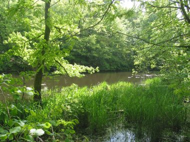 2009_GESVRES_la-chapelle-sur-Erdre