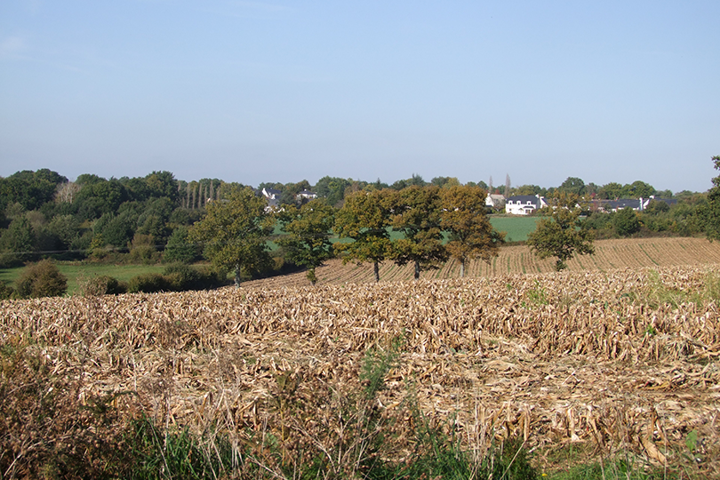 2011_10_Vallée_Du_Gesvres_Treillières (2)