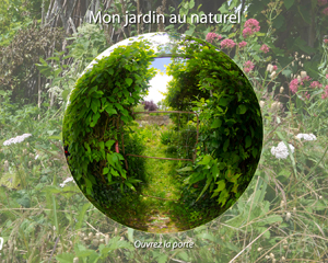 AC-JA_jardin-virtuel-300×240