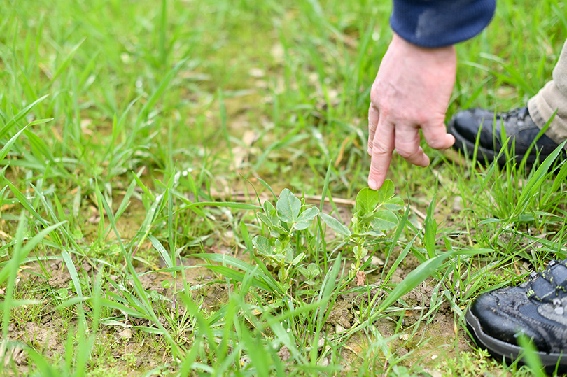 Ambiance_agricole_Erdre_2022_Crédit_Delphine_Lethu (37)