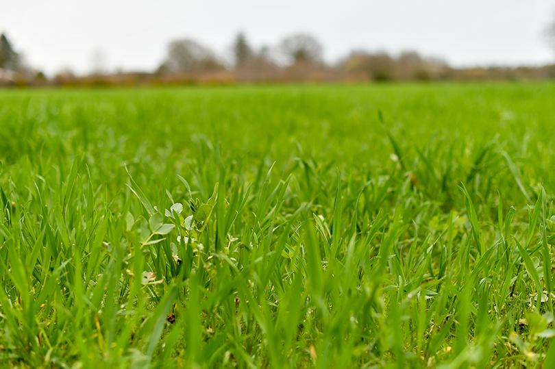 Ambiance_agricole_Erdre_2022_Crédit_Delphine_Lethu (41)