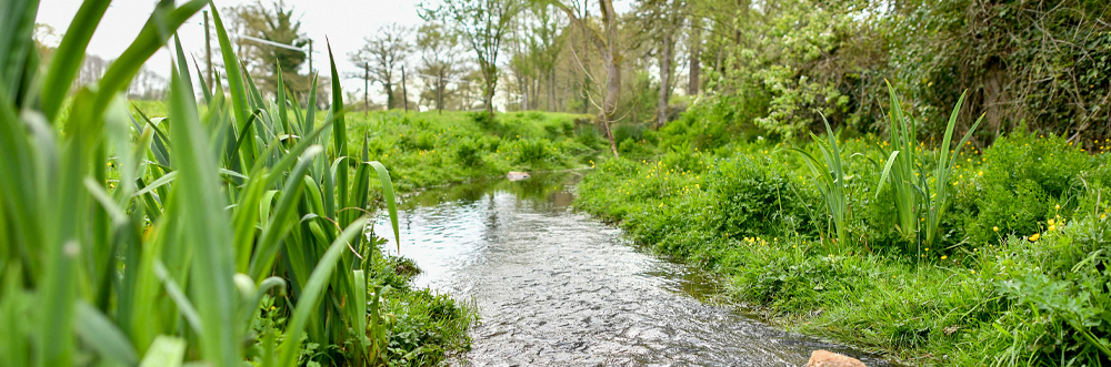 Coordonner les actions du Contrat Territorial Eau