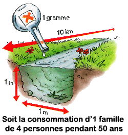 EA-jardinage-schema-pollution-250×350