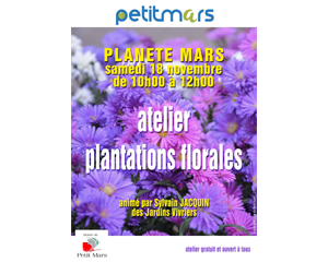 Plantation-Florale-20171118